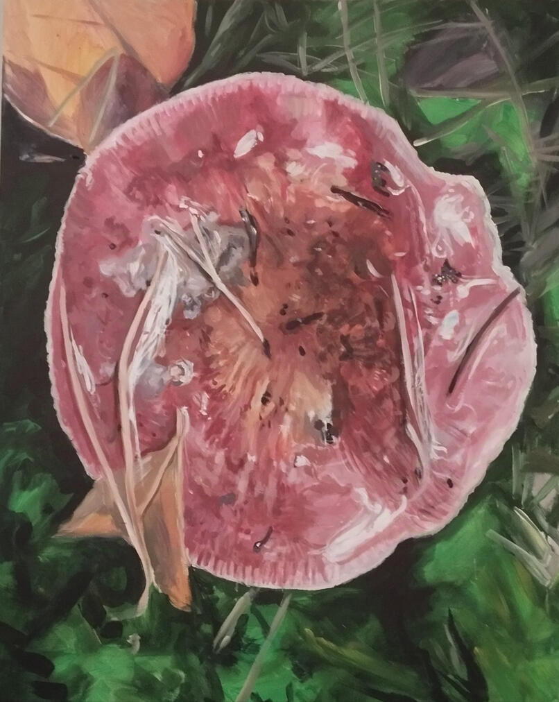 Gołąbek winny. Obraz akrylowy na płótnie 100x80 cm