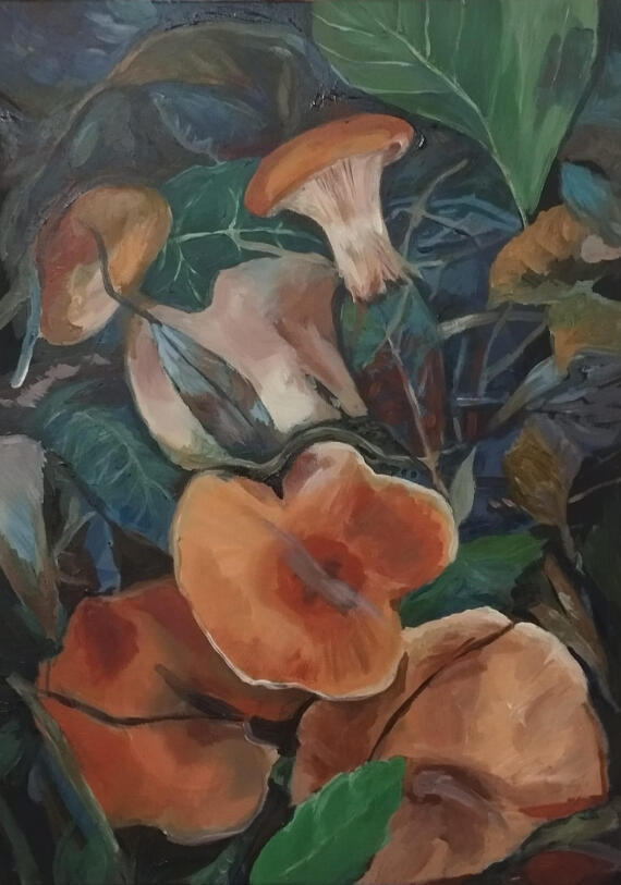 Grzyby.Obraz akrylowy na płótnie 50x70cm.