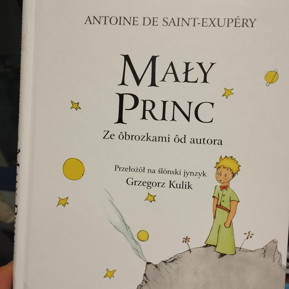 Mały książę i duchy lasu