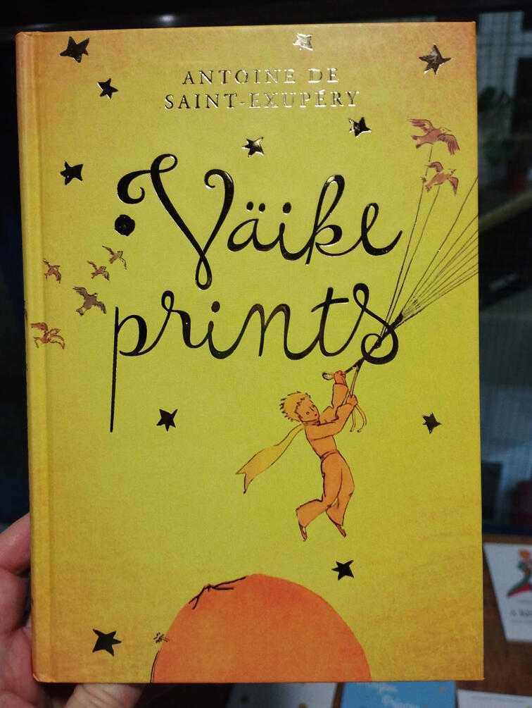 Mały książę i duchy lasu