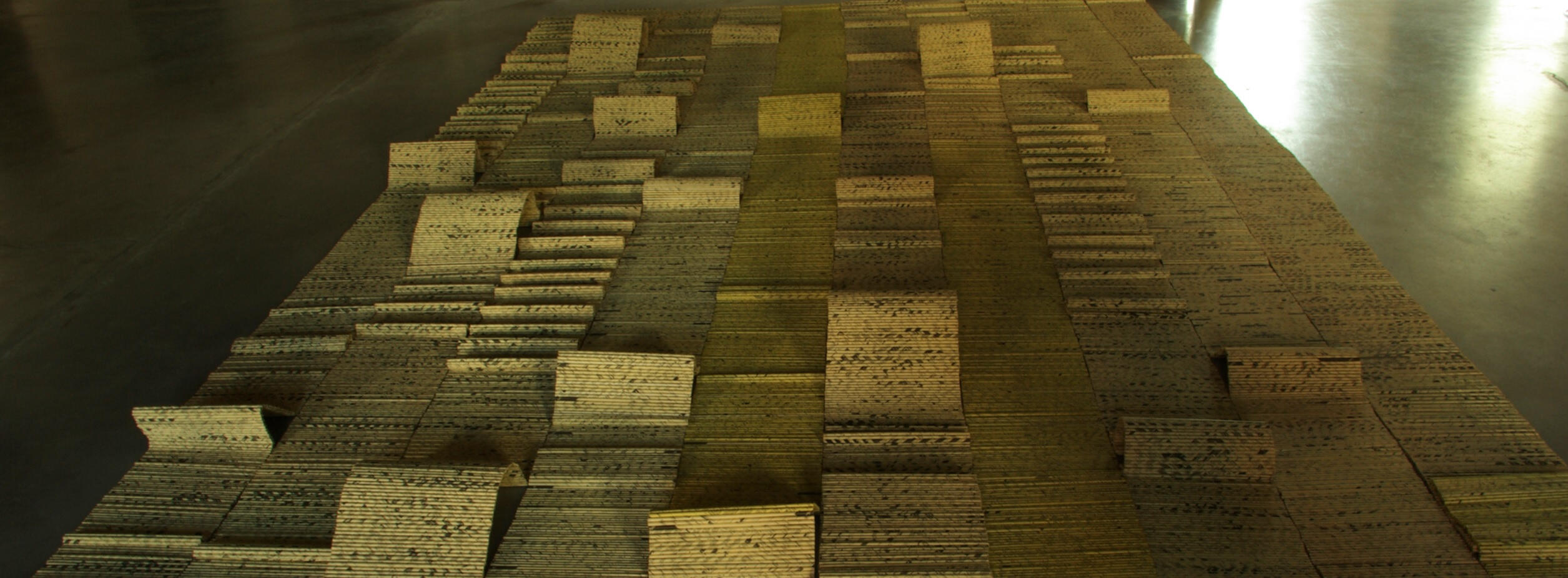 J.Krajewska – Vanished City Łódź